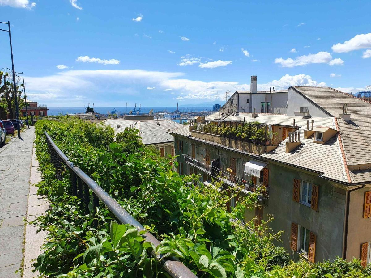 La Casa Dell'arte - The House Of Art